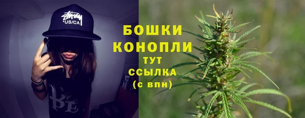 спайс Белокуриха